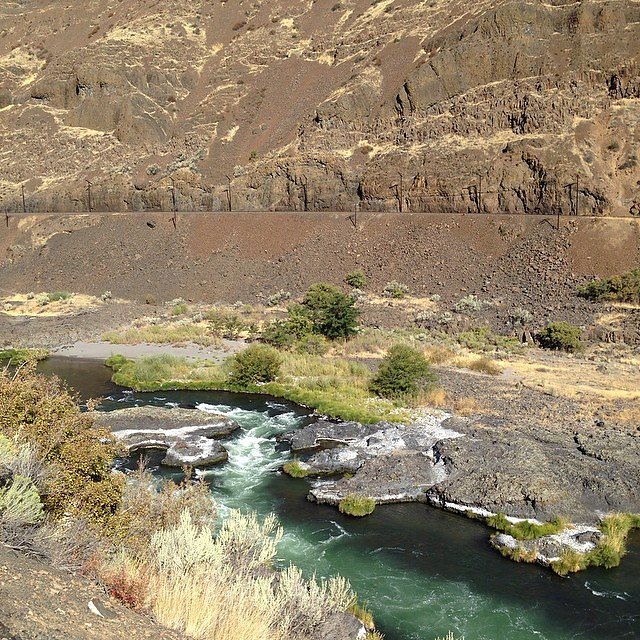 The Dechutes near Tygy Valley was super cool today. I usually only see it at the confluence of the Columbia where it's flat and boring. Need to go back out there. This photo doesn't do it justice.