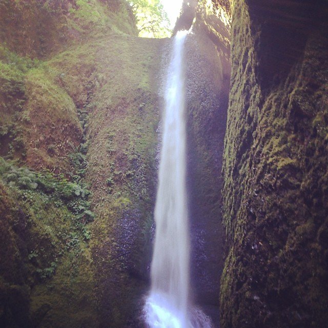 Fun morning of swimming at Oneonta Falls after scrambling over a log jam and a 5' stream. #columbiarivergorge #traveloregon