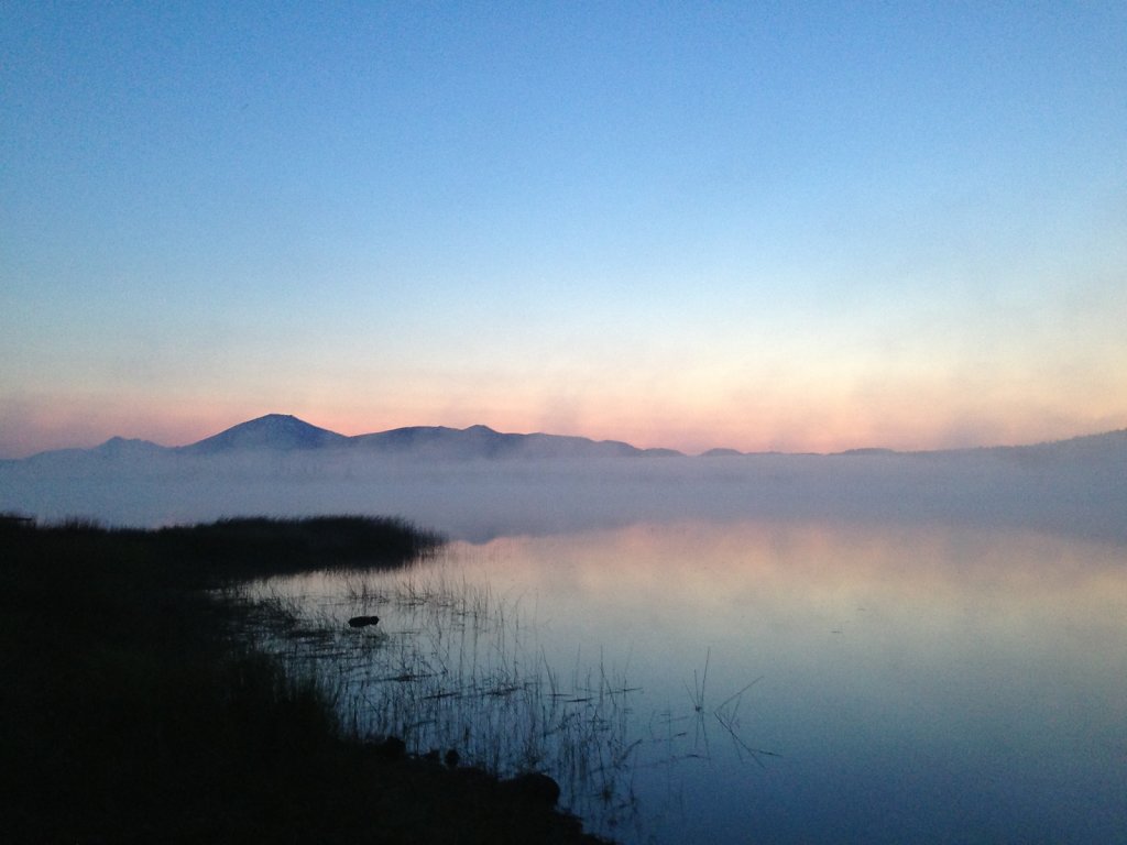 Burning morning fog at Crane Prairie