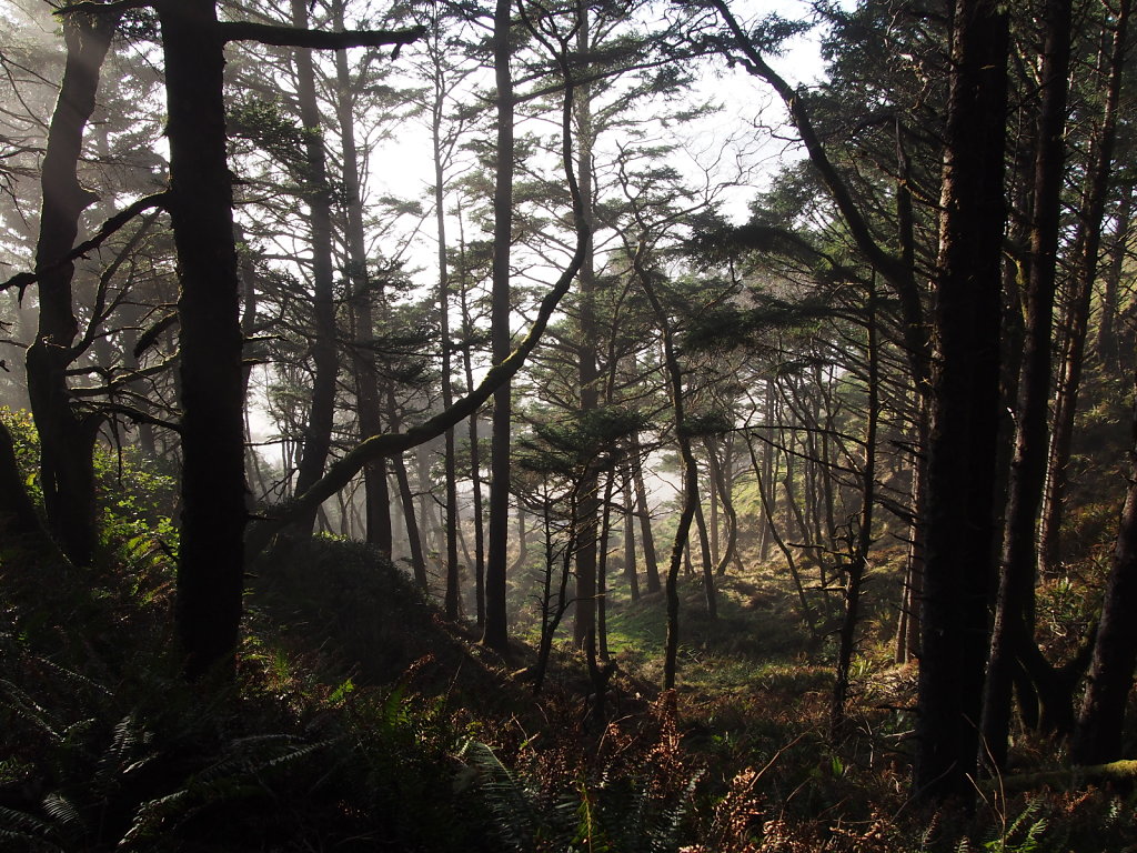 Ecola State Park