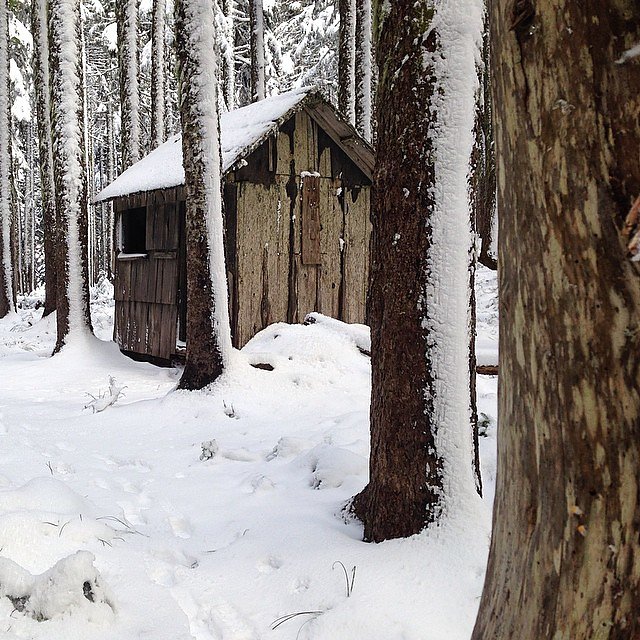 Ridge Camp. Sorta wished I could have stayed in there, but no go with a hammock setup. #latergram