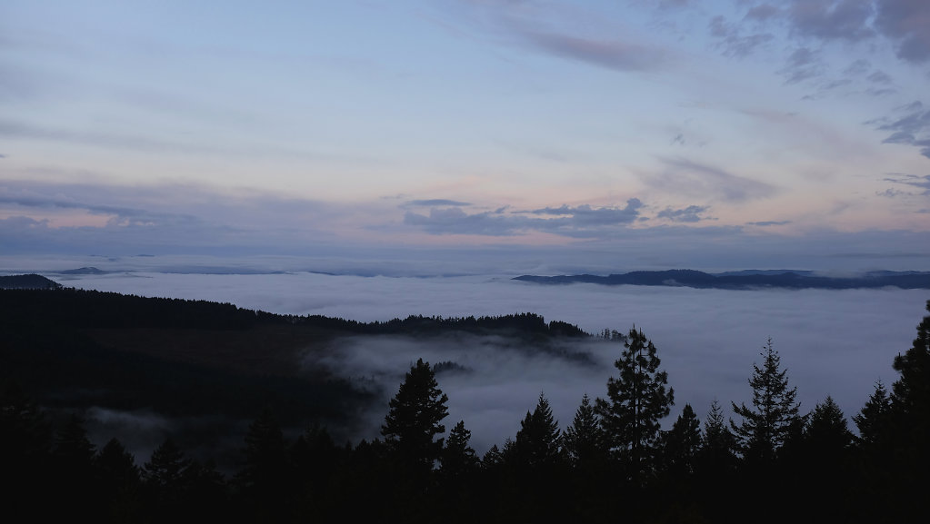 Above the clouds in the Umpqua Forest