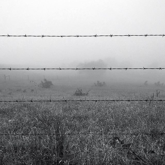 Misty morning. #MtMadonna
