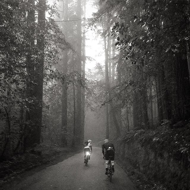 Felt right at home climbing into the fog this morning.  #MtMadonna #TourDeTree