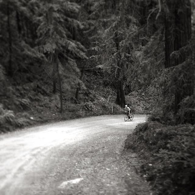 That's either @j_takao or a two wheeled Sasquatch following me in the Santa Cruz Mtns. #TourDeTree