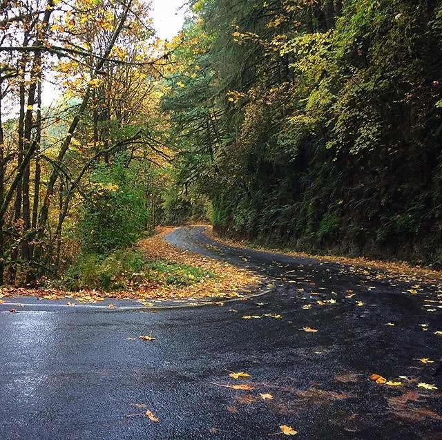 Last day before the rain starts = of course I got rained on. But such a nice climb I didn't mind. 